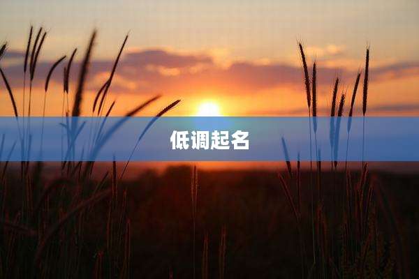 低调起名