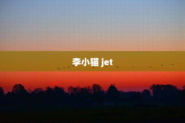 李小猫 jet