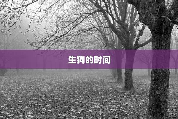 生狗的时间