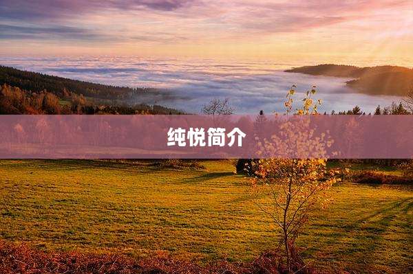 纯悦简介