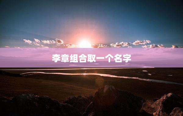 李章组合取一个名字