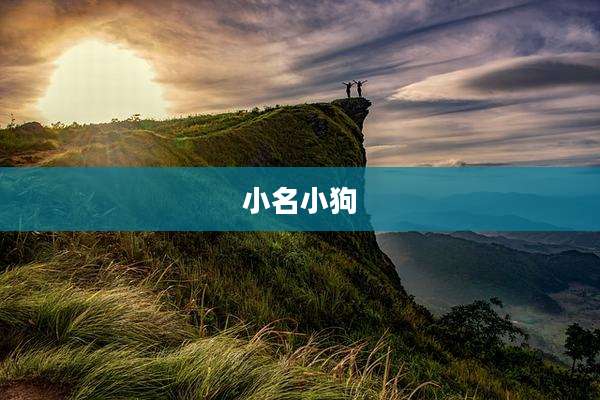 小名小狗