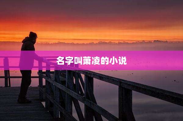 名字叫萧凌的小说