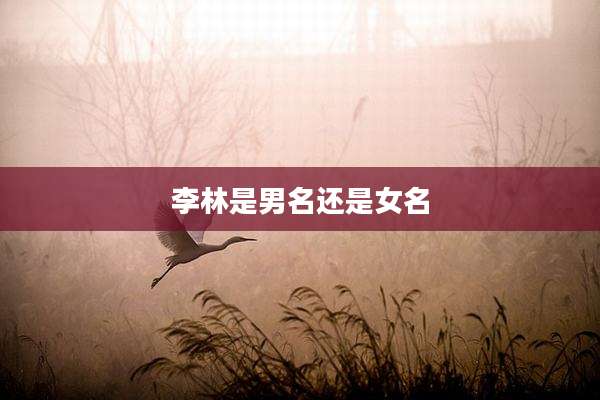 李林是男名还是女名