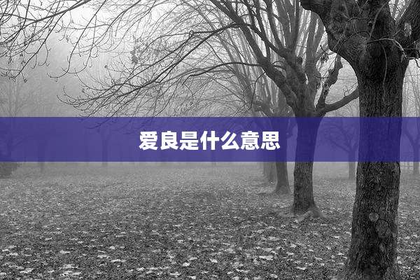 爱良是什么意思