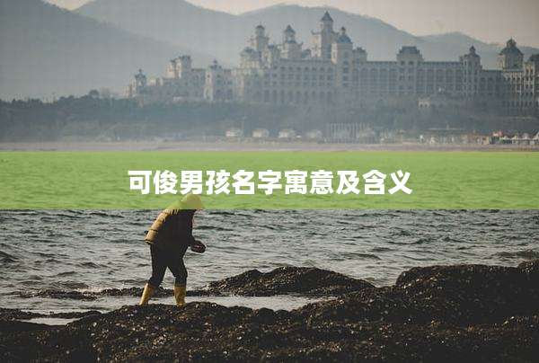 可俊男孩名字寓意及含义