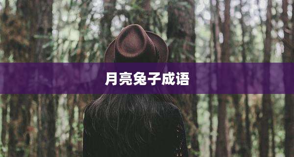 月亮兔子成语