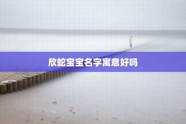 欣蛇宝宝名字寓意好吗