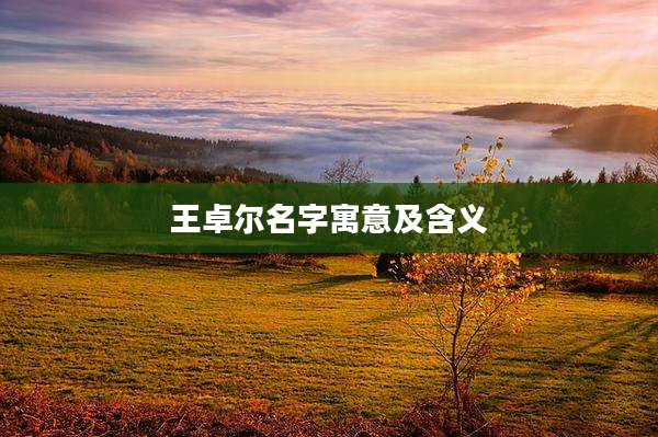 王卓尔名字寓意及含义