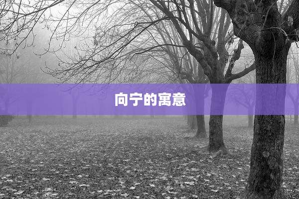 向宁的寓意
