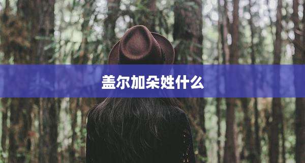 盖尔加朵姓什么