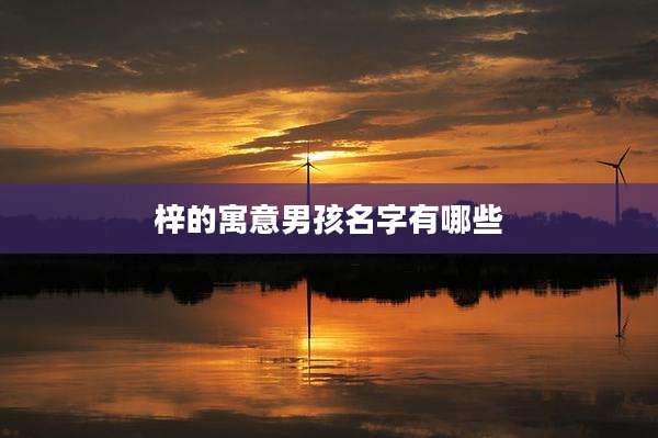 梓的寓意男孩名字有哪些