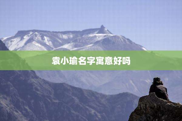 袁小瑜名字寓意好吗