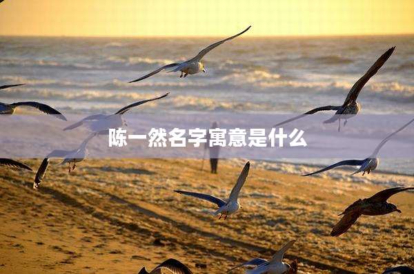 陈一然名字寓意是什么