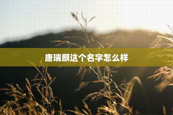 唐瑞麒这个名字怎么样