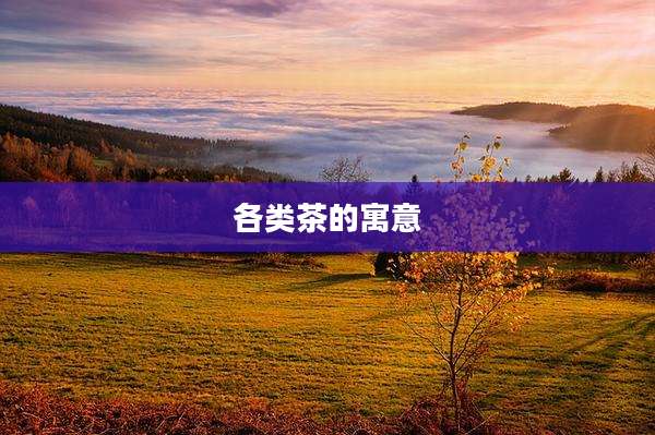 各类茶的寓意