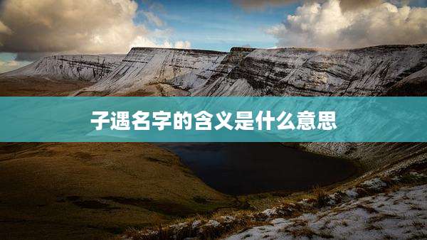 子遇名字的含义是什么意思