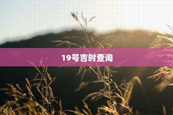 19号吉时查询