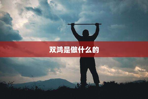 双鸿是做什么的