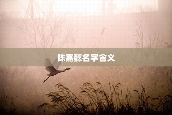 陈嘉懿名字含义