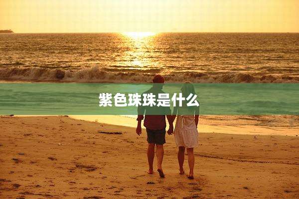 紫色珠珠是什么
