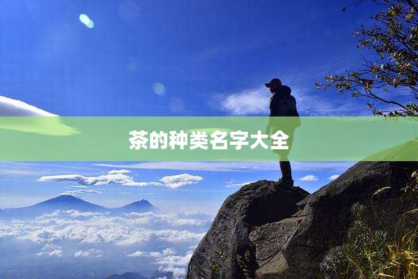 茶的种类名字大全