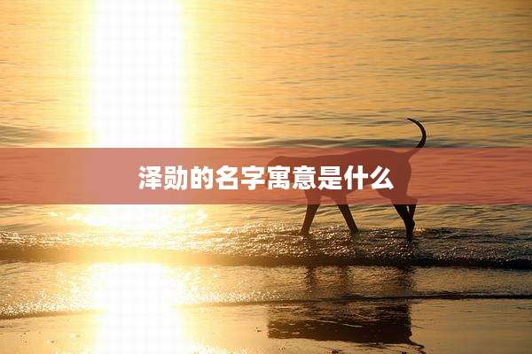 泽勋的名字寓意是什么