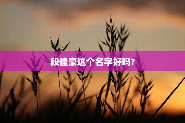 段佳豪这个名字好吗?