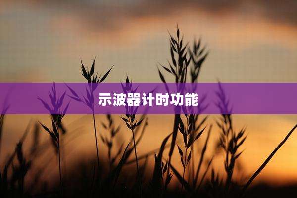 示波器计时功能