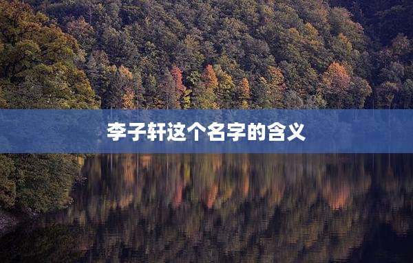 李子轩这个名字的含义