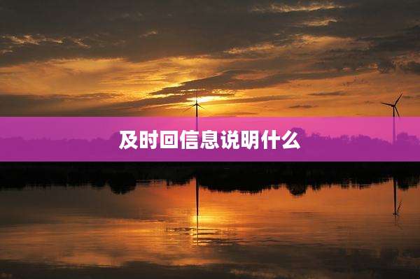 及时回信息说明什么