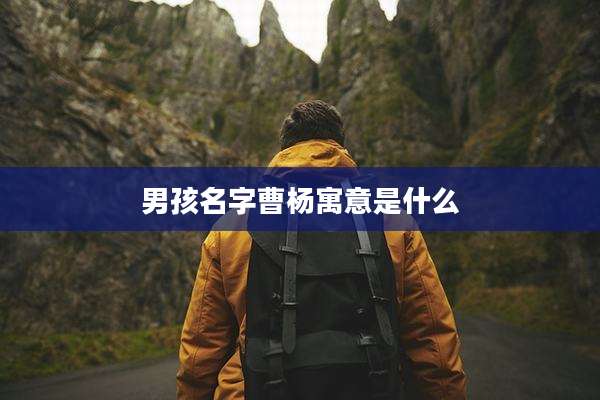 男孩名字曹杨寓意是什么