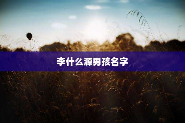 李什么源男孩名字