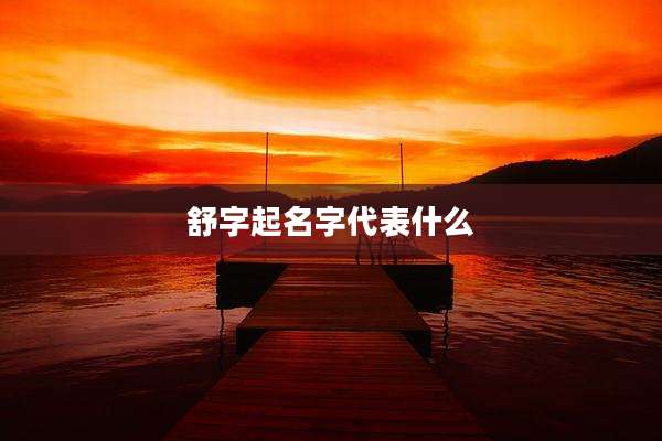 舒字起名字代表什么