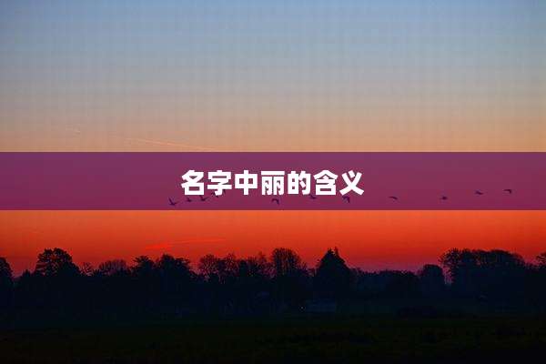 名字中丽的含义