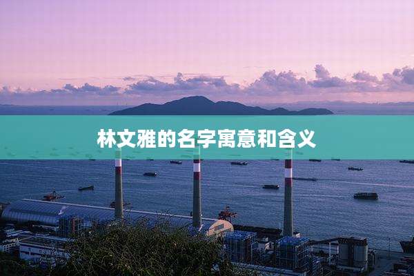 林文雅的名字寓意和含义