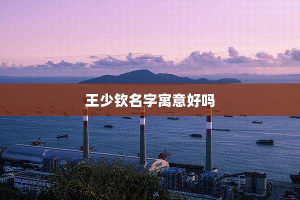 王少钦名字寓意好吗
