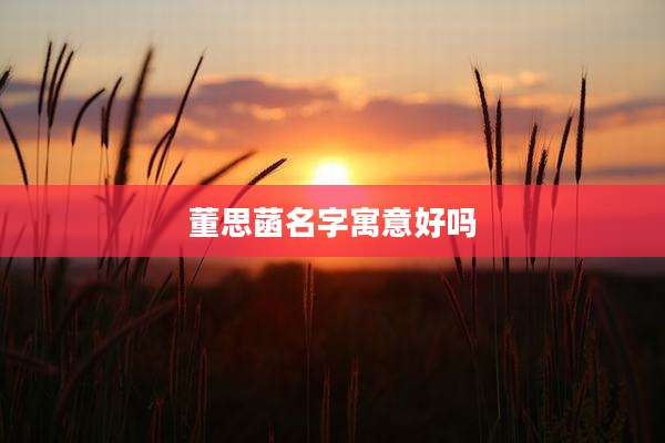 董思菡名字寓意好吗