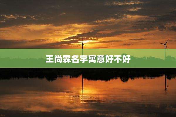 王尚霖名字寓意好不好