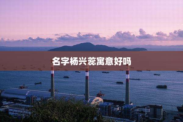 名字杨兴蕊寓意好吗