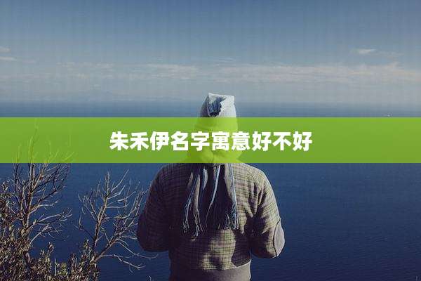 朱禾伊名字寓意好不好