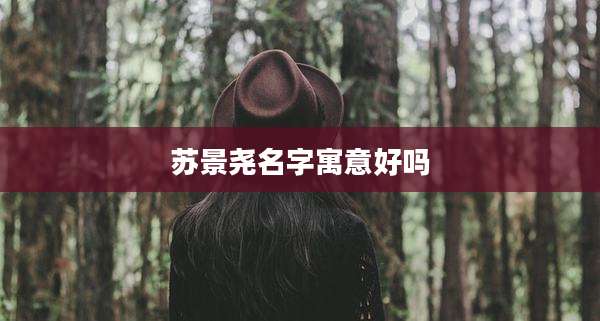 苏景尧名字寓意好吗