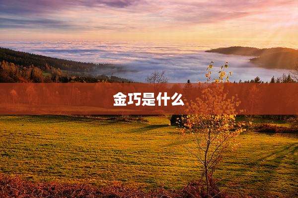 金巧是什么