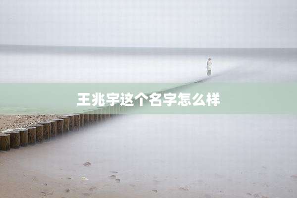 王兆宇这个名字怎么样