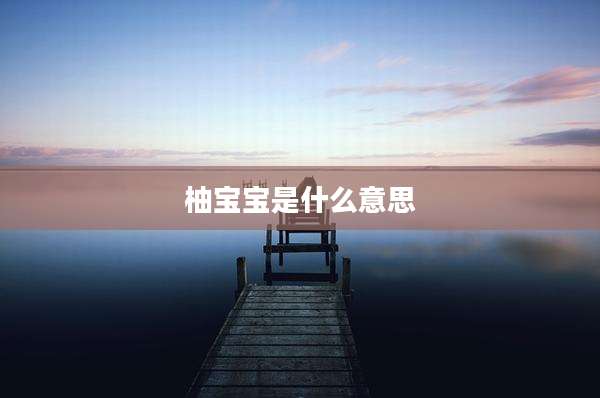 柚宝宝是什么意思