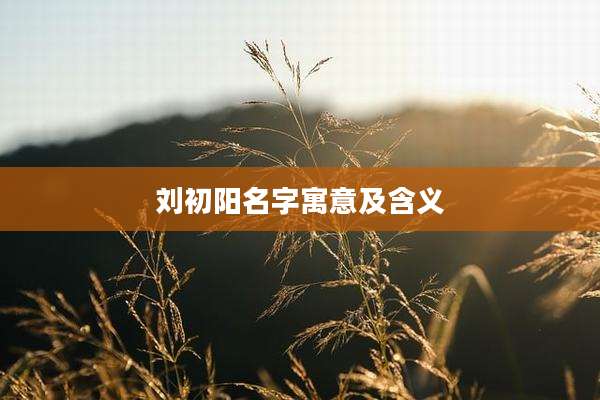 刘初阳名字寓意及含义