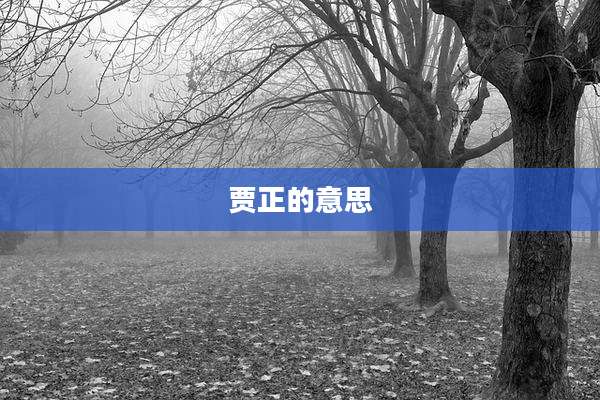 贾正的意思