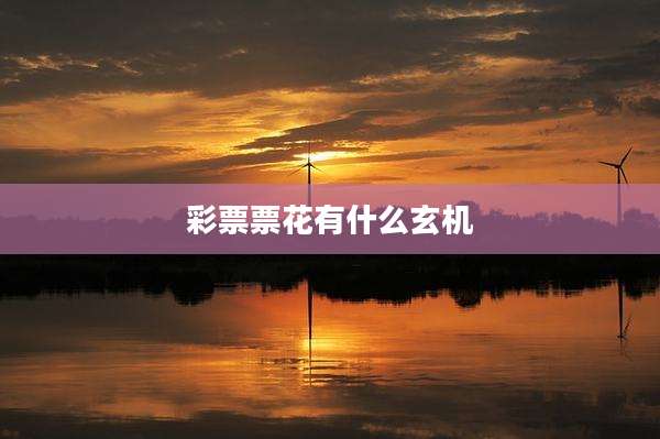 彩票票花有什么玄机