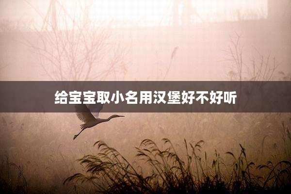 给宝宝取小名用汉堡好不好听