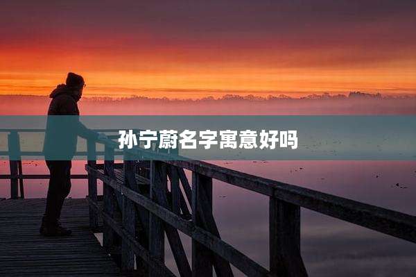 孙宁蔚名字寓意好吗